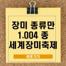 2025 곡성세계장미축제 일정·입장료·체험 꿀팁, 장미 천국 놓치지 마세요