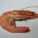 치항병원 이미지
