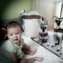 파트라슈 이미지