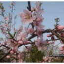 거산어린이집 이미지