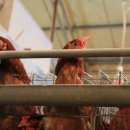 원준농장 이미지