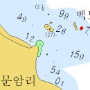 작은백도