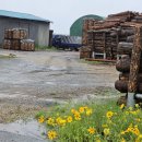 선산대로-14 이미지