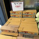 막퍼주는과일야채창고