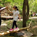 이루숲어린이집 이미지