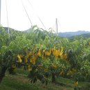 충주농협 노은지점 이미지