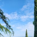 노벨라 별하나 이미지