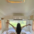 티지지티 이미지