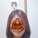 지수미장원