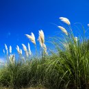 나래농원 이미지