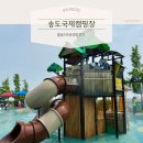 인천송도국제캠핑장 | [인천] 송도국제캠핑장 솔직후기｜아이와 여름 물놀이 최고!