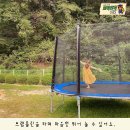 앤디스가든