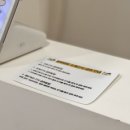 바우미우 이미지