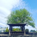 삼춘네민박 이미지