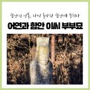 어연 함안이씨 어변갑묘 | 함안의 인물 다시 돌아와 함안에 묻히다 - 어연과 함안 이씨 부부묘
