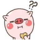 생생이두부보쌈 이미지