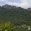 내장산관광안내소 이미지