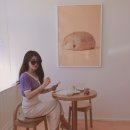 인셀덤뷰티셀럽