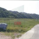 대구지방법원 영덕지원 이미지