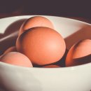 자모 메추리농장 이미지