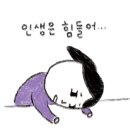 퍼스트하우스