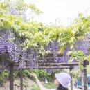 비슬로387길 이미지