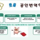 쏘올공인번역행정사