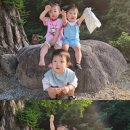 묘솔캠핑장 네이버블로그
