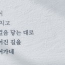 디딤디자인 이미지