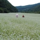 큰마을 스크린 이미지