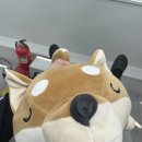 닥터하엘치과의원