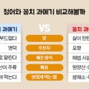 영덕청어과메기영어조합 이미지