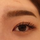 여우속눈썹 - 북구 | 여우속눈썹