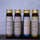 엘리스 호텔 이미지