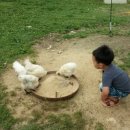 기역농장 이미지