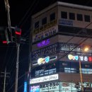 페로자주짓수