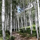 상기산 입구 이미지