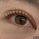 일산 속눈썹펌 만족스러운 후기 &lt;노포토샵&gt; &#34;채니래쉬&#34;