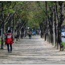 수성랜드 이미지