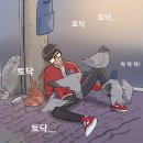 팔롬비니 이미지