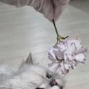 위치커피 김해덕암점