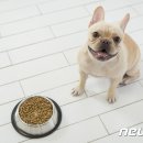 우진Food 이미지