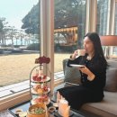 [모조에스핀] 벨벳 소재 진주 트위드 셋업 예복 추천 내돈내산 후기(+착샷)