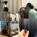 헤어살롱카라 - 구미시 봉곡서로 83 | 대전 둔산동 미용실 디앤온헤어살롱에서 토키오 모발클리닉 받고 온 후기
