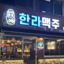 두류젊음의 광장 | 제주 감성 분위기 좋은 광장코아맛집 광장코아술집 두류맛집 한라맥주 대구광장점
