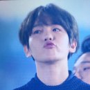 도이
