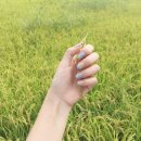 펄네일(PEARL NAIL)