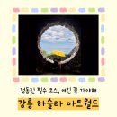 동해월드펜션 | 강릉 하슬라 아트월드 할인·애견 동반 내돈내산 후기