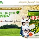 청풍유통 Daum카페
