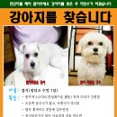 수컷 이미지